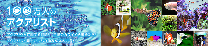 100万人のアクアリスト