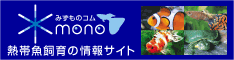 熱帯魚・アクアリウムの情報サイト「みずものコム」