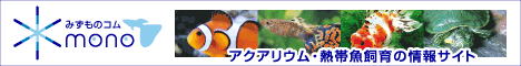 アクアリウム・熱帯魚飼育の情報サイトみずものコム