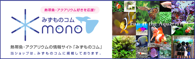 熱帯魚・アクアリウムの情報サイト「みずものコム」