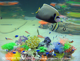 ナニワ商事 アクアリウム事業部 水槽レイアウト1 ナニワ商事 アクアリウム事業部 水槽レイアウト1