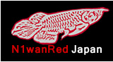 N1wanred Japan（ニワンレッドジャパン）